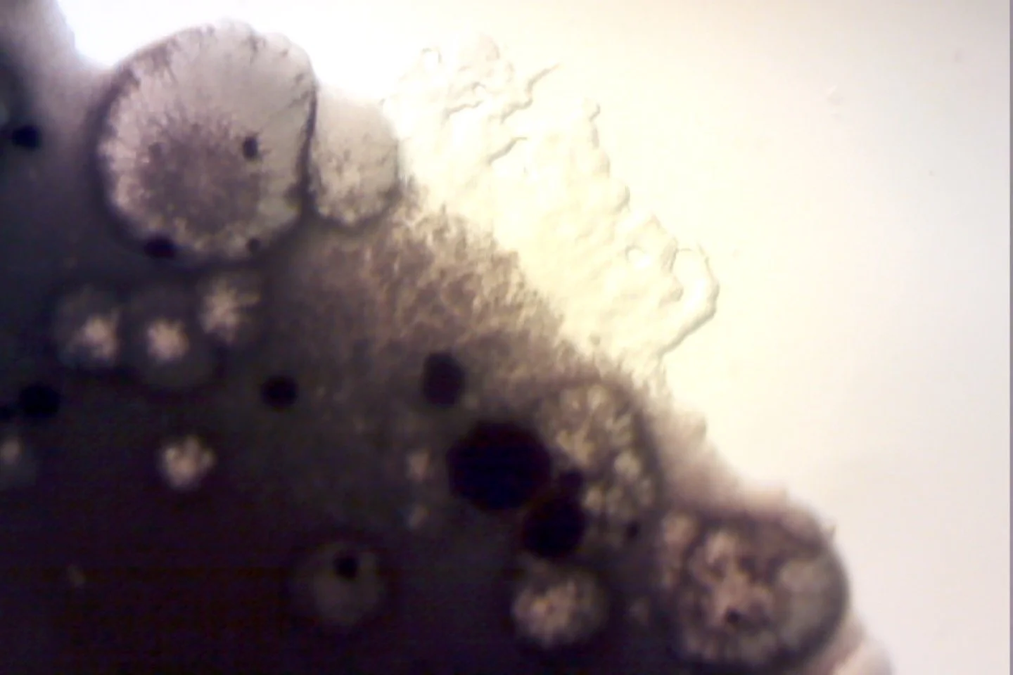 Photo on 4-9-26 at 3.58 PM.jpg