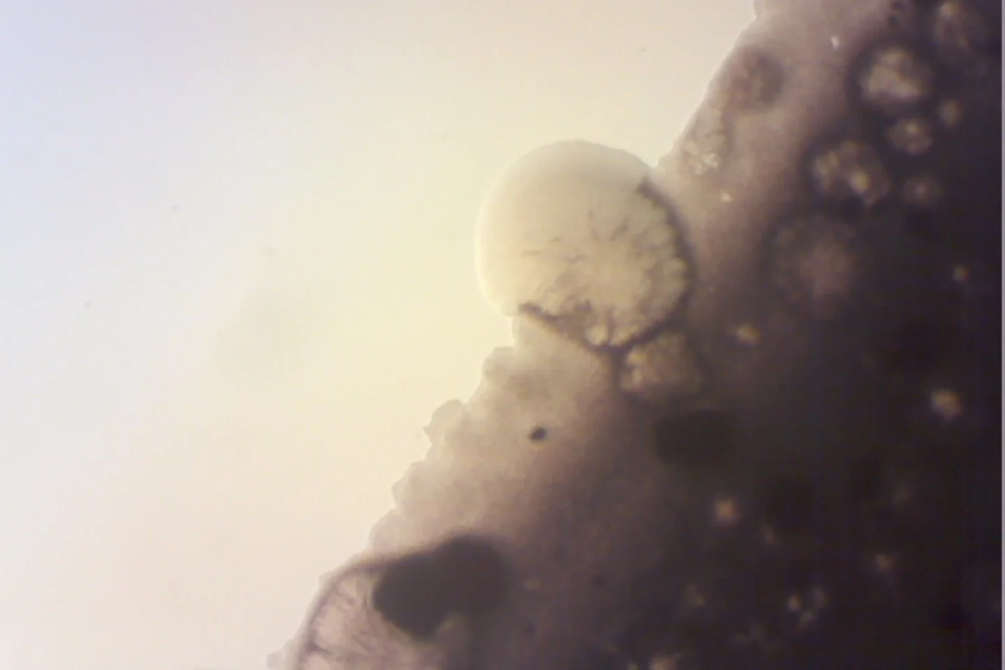 Photo on 4-9-26 at 3.59 PM.jpg