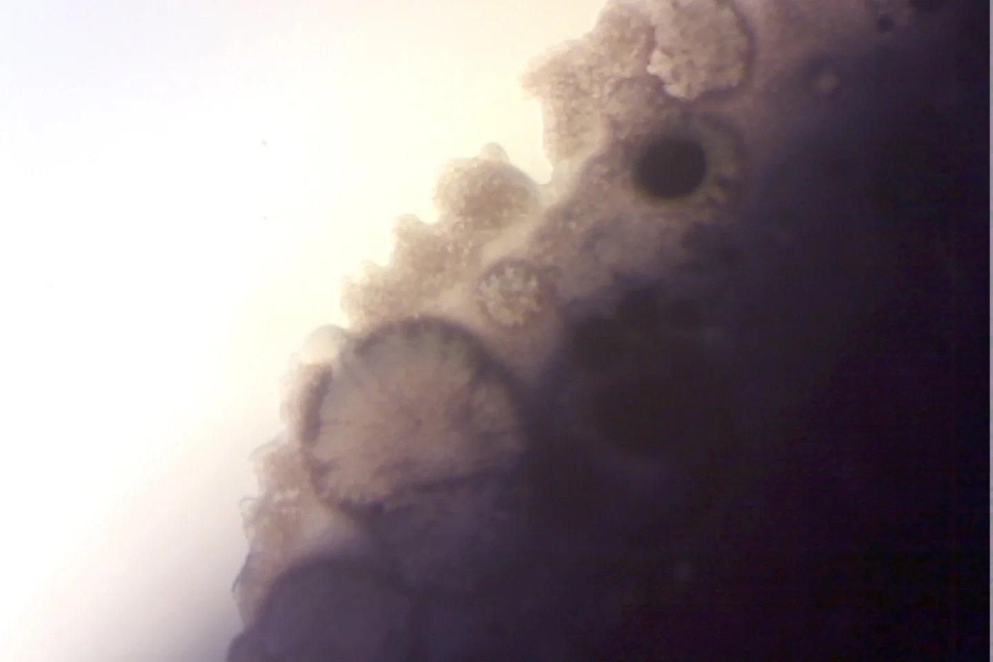 Photo on 4-9-26 at 4.03 PM.jpg