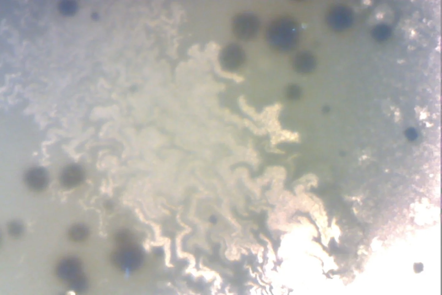 Photo on 4-9-26 at 4.05 PM.jpg