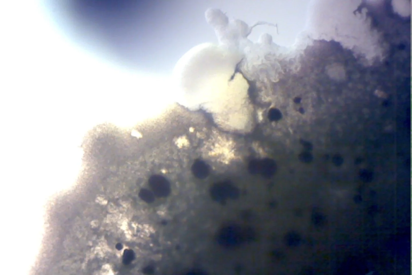 Photo on 4-9-26 at 4.06 PM #2.jpg