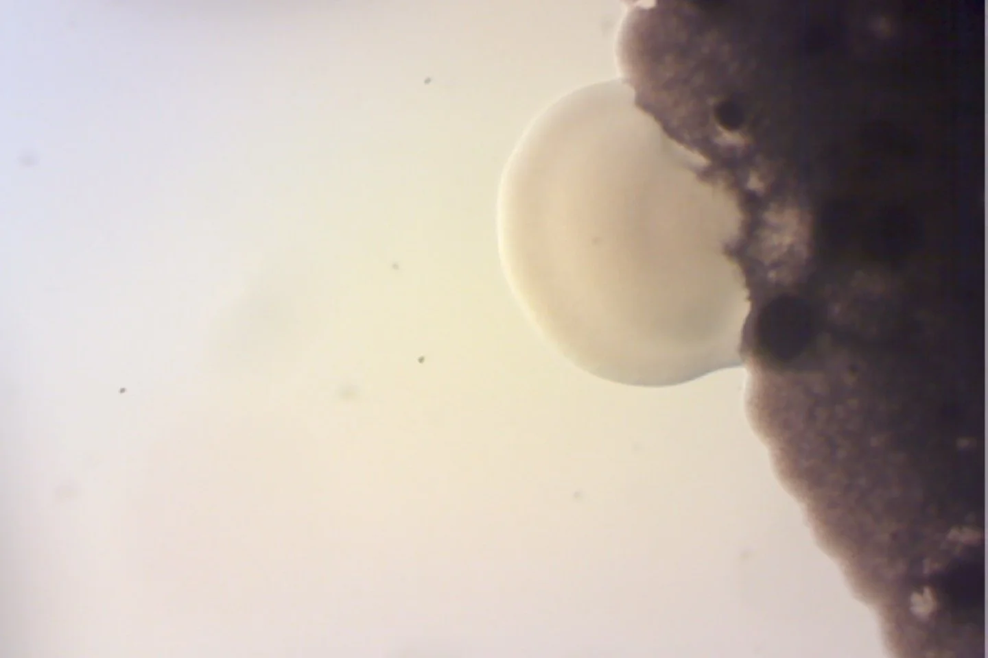 Photo on 4-9-26 at 4.06 PM.jpg