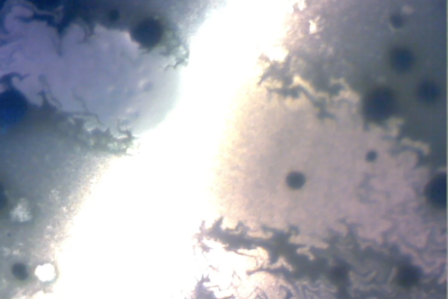 Photo on 4-9-26 at 4.07 PM.jpg