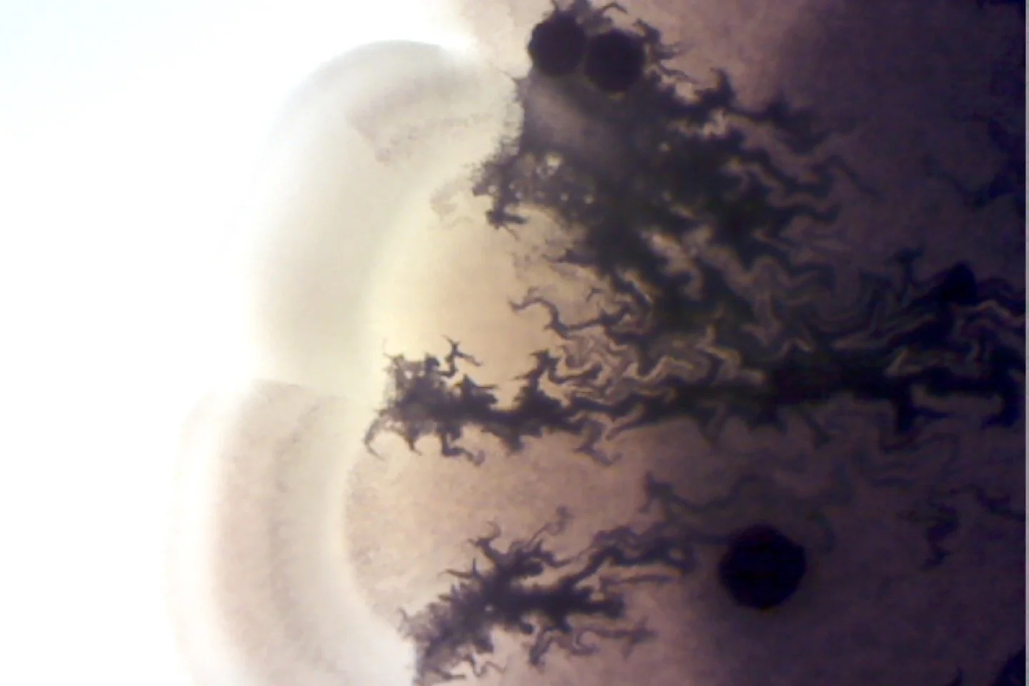 Photo on 4-9-26 at 4.09 PM #2.jpg