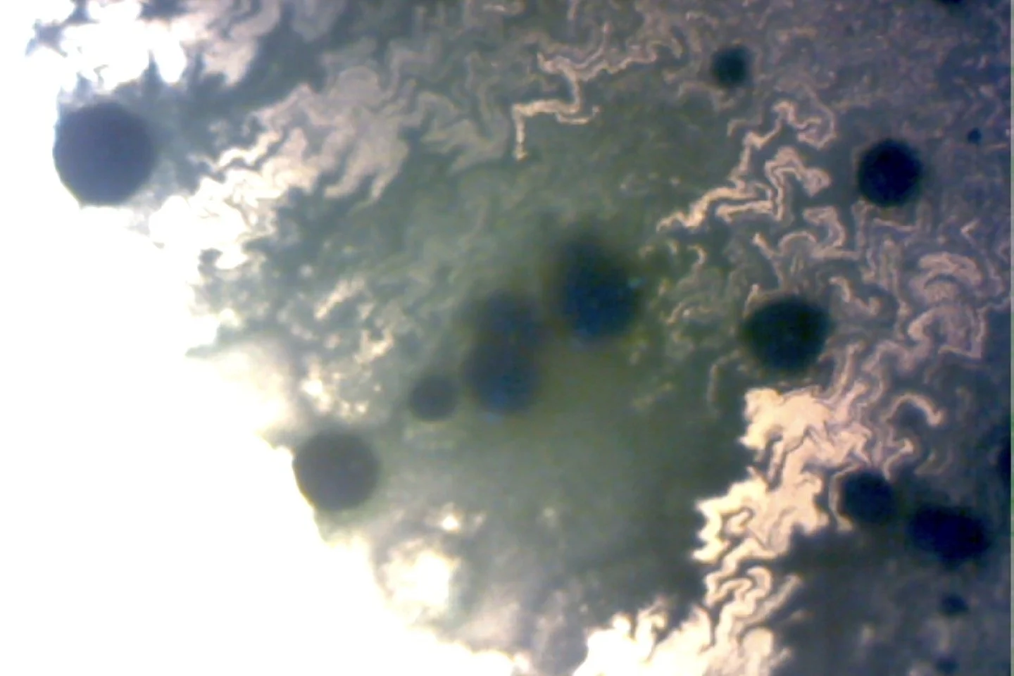 Photo on 4-9-26 at 4.09 PM #3.jpg