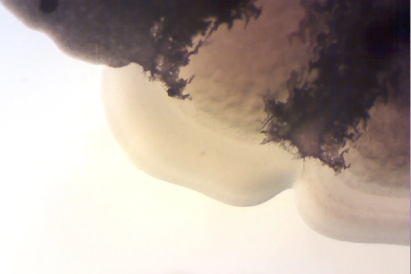 Photo on 4-9-26 at 4.09 PM.jpg