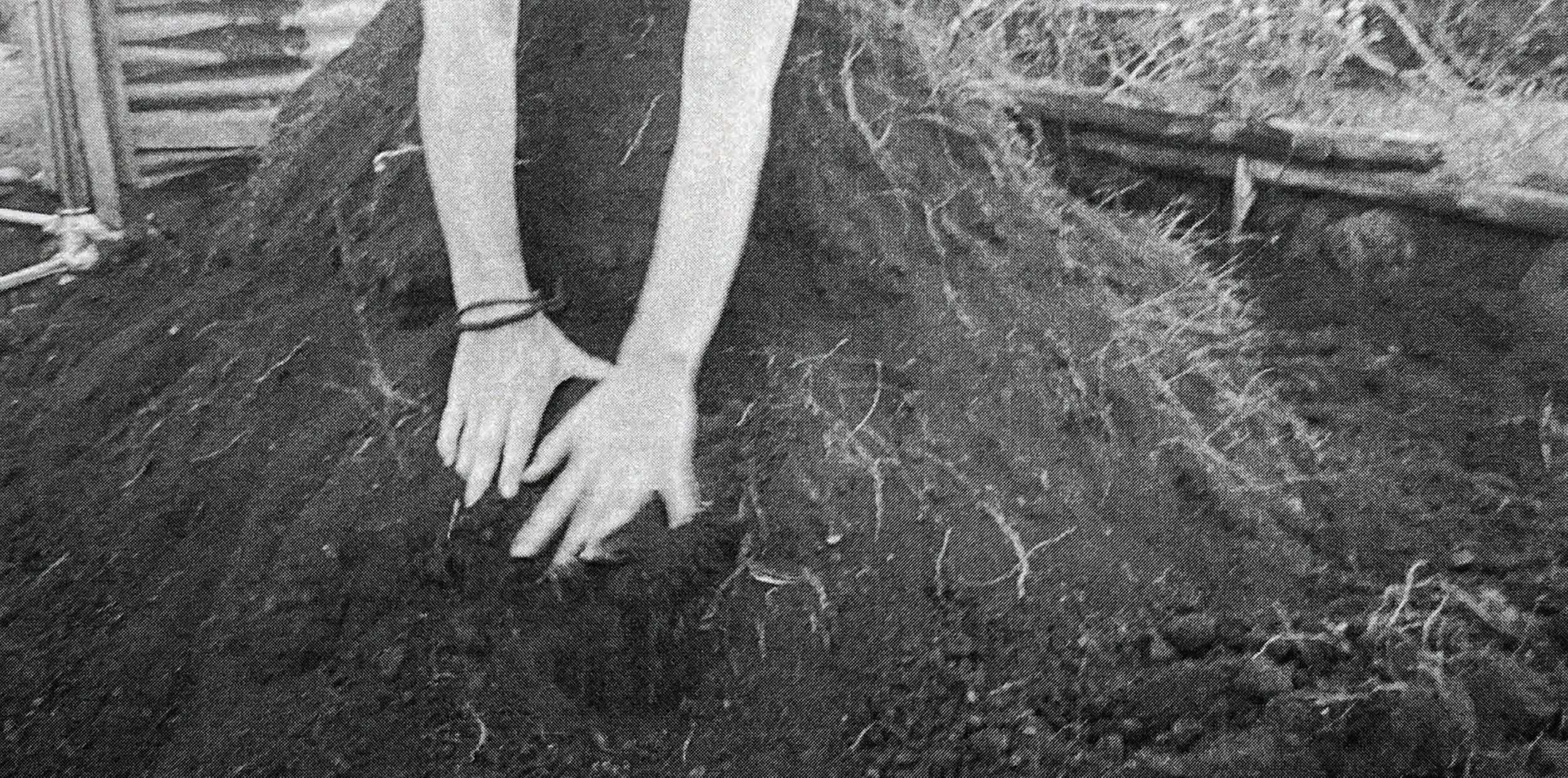 body as land