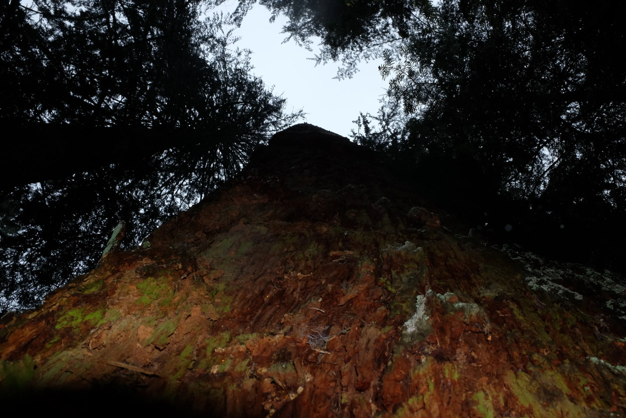 DSCF1009.JPG