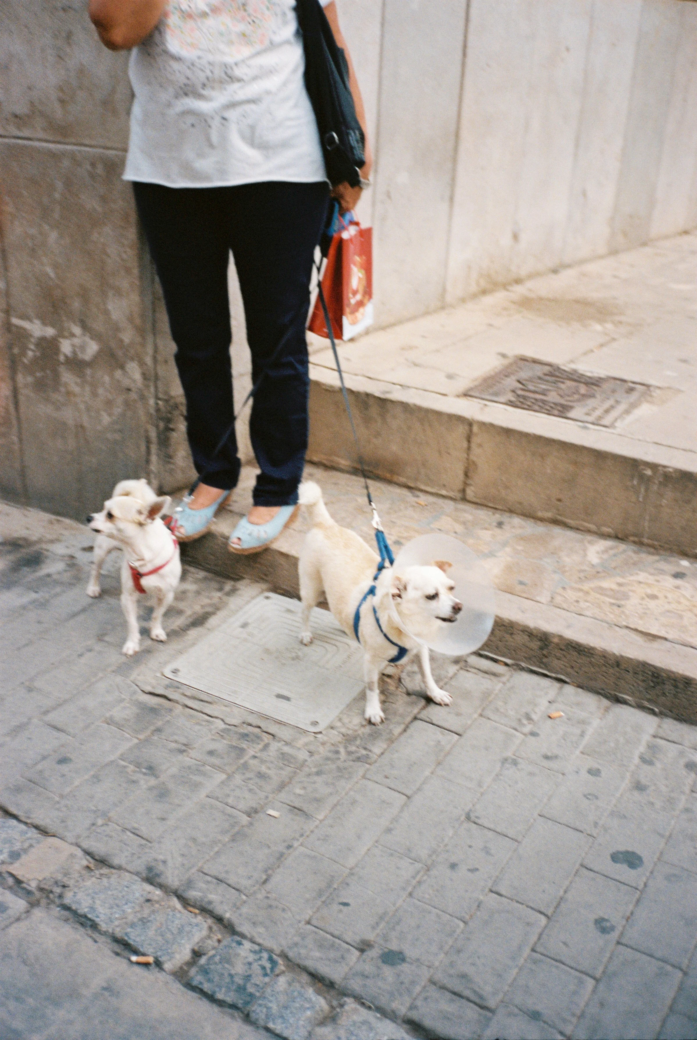 Camera: Olympus mju II Film: Kodak Portra 400