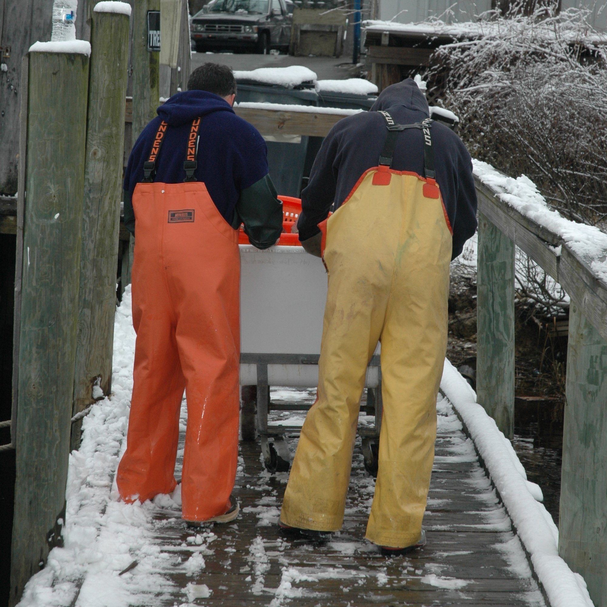 Two fishermen on dock in snow