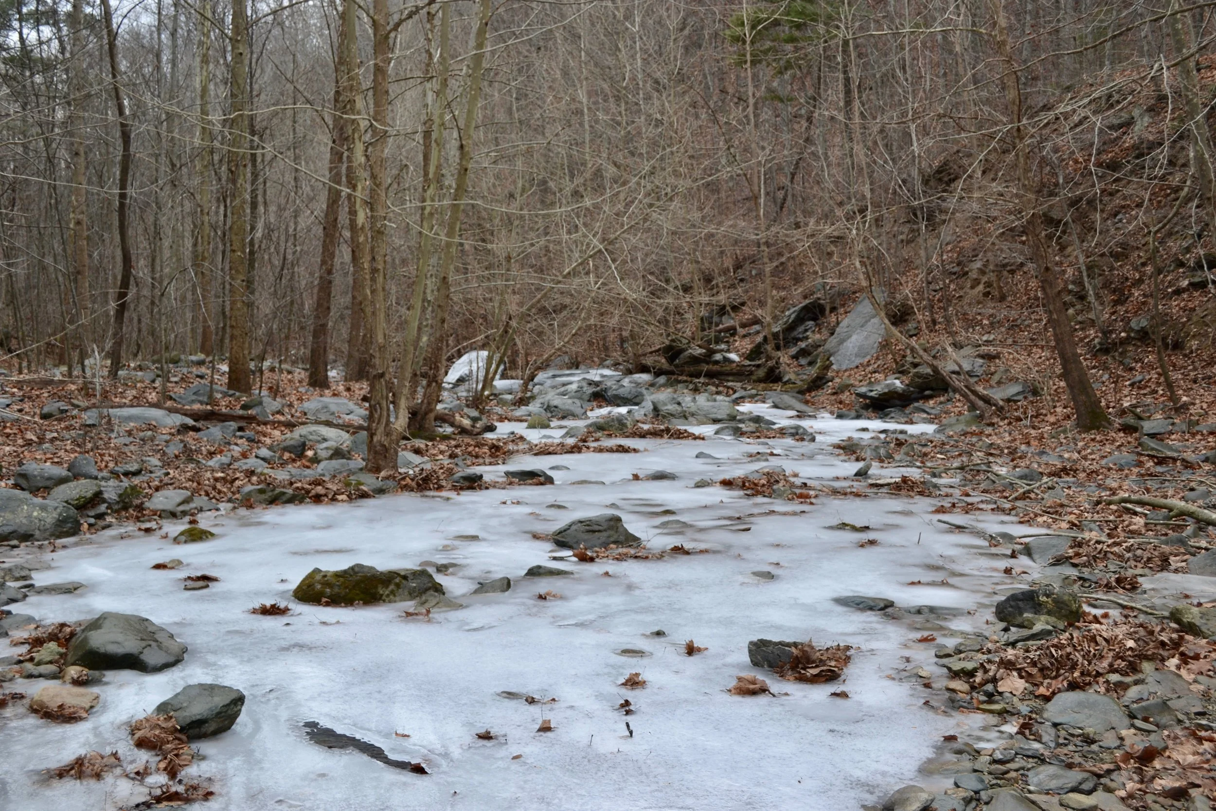 In spring and summer months this stream has rewarded me with a lot of brook trout. A few weeks of below freezing temperature turns this section of stream into a thick sheet of ice. 