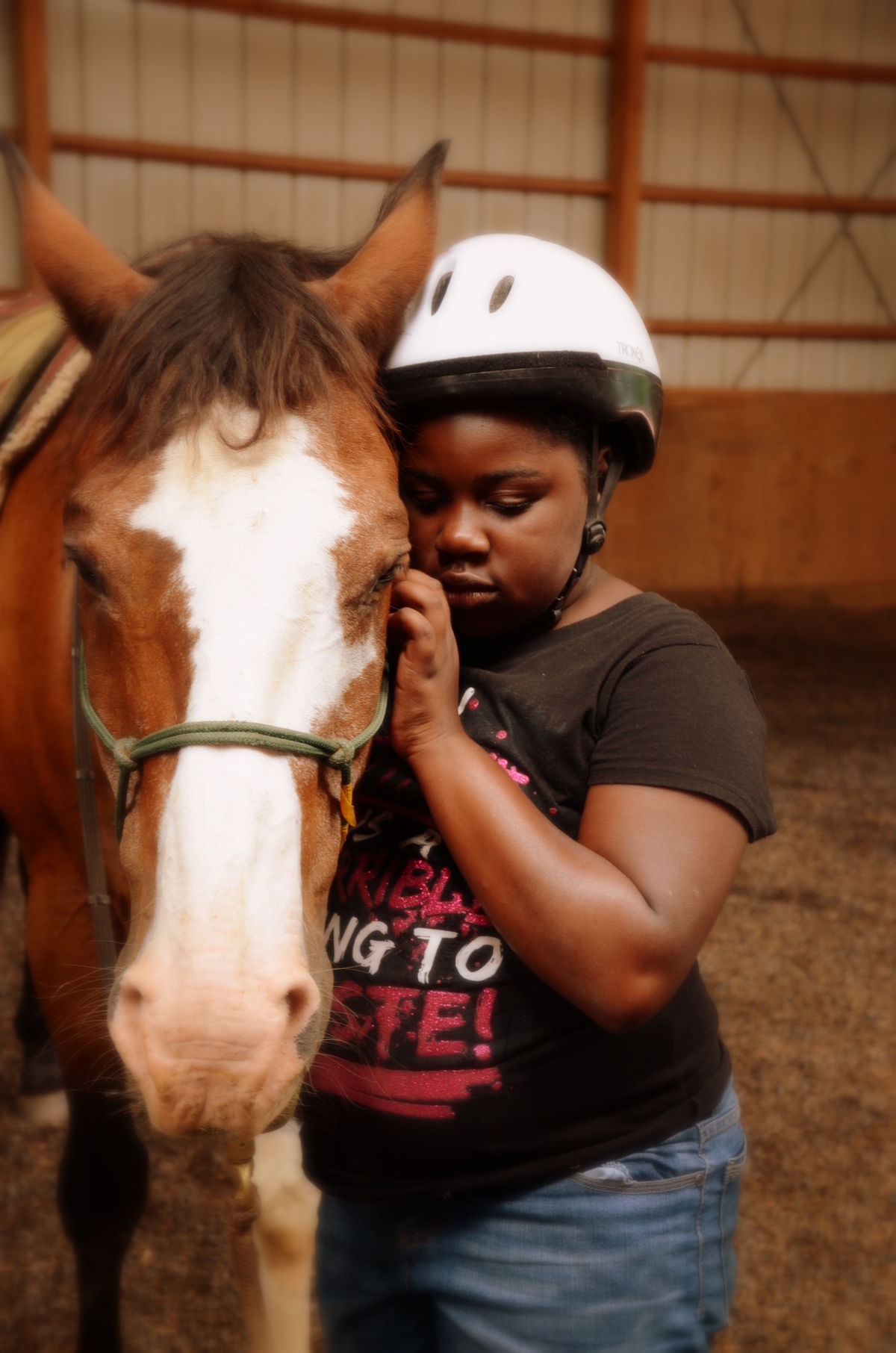 Overview | Equine Assisted Psychotherapy and Learning | Equine Business ...