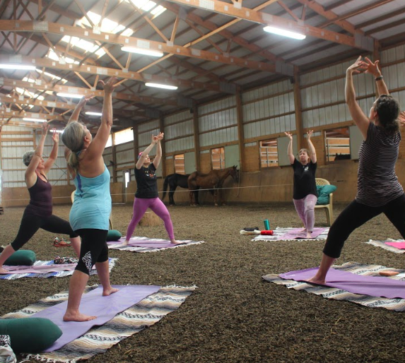 yoga and horses.jpg