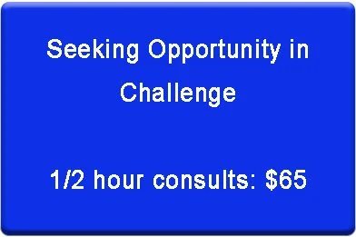 Seeking Opportunity in Challenge (1/2 Hr Consults)