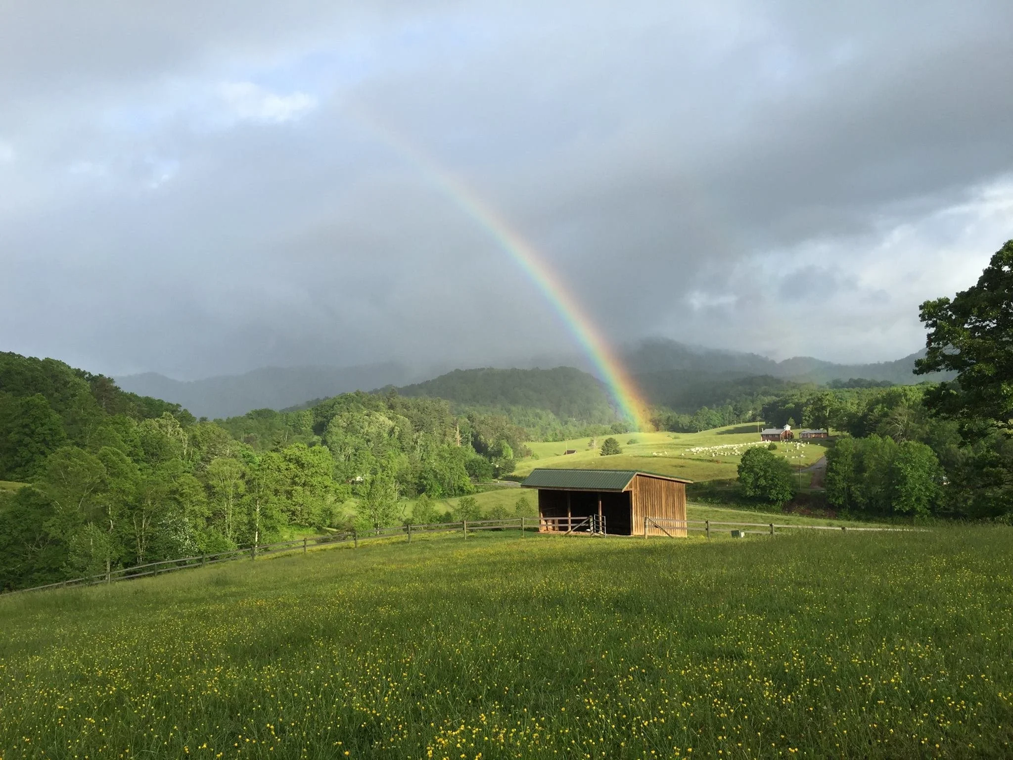 Copy of 16252324_10154892573113638_7827838050483290932_o (1).jpg