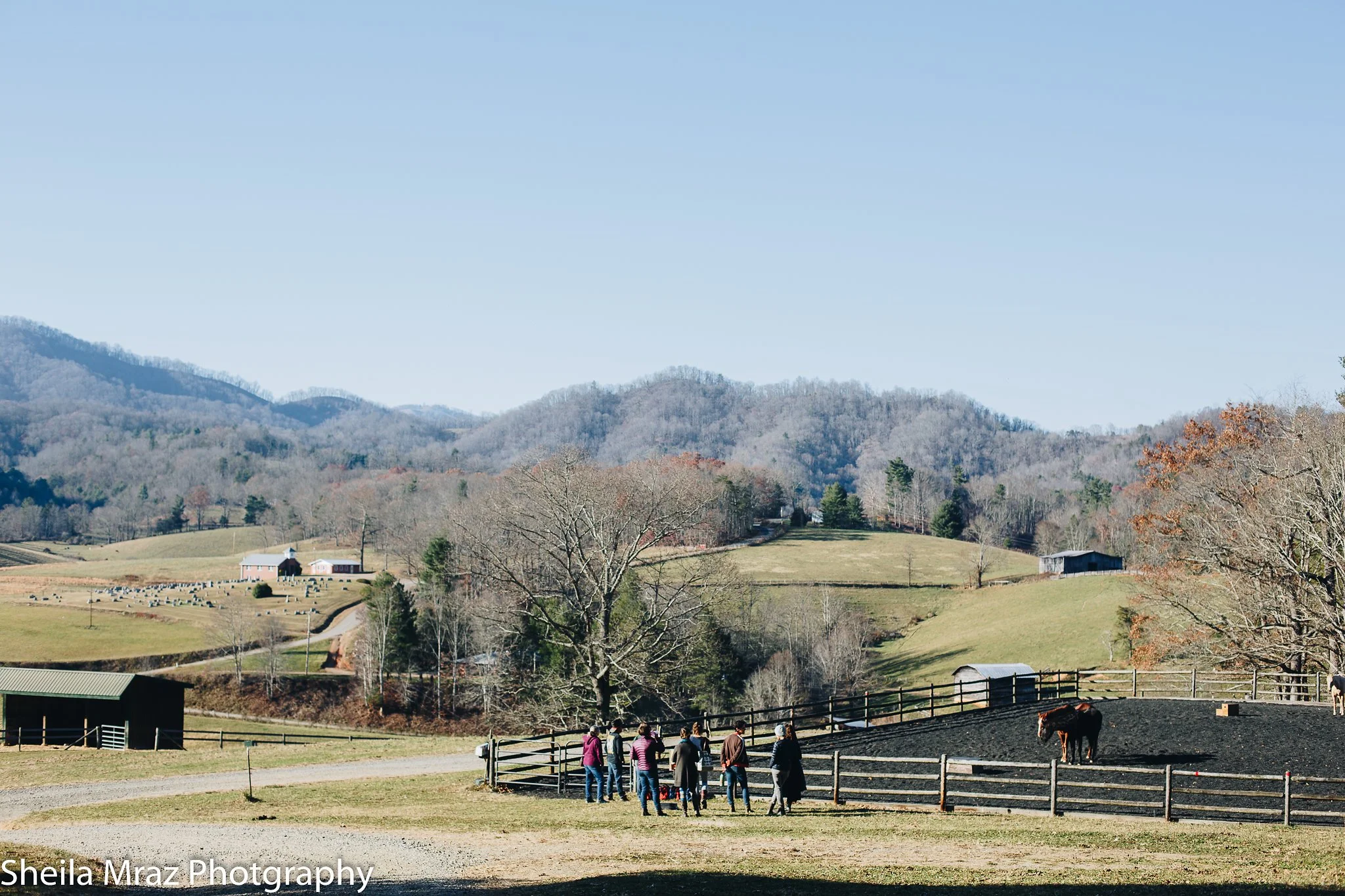 Copy of sheila_mraz-8057.jpg