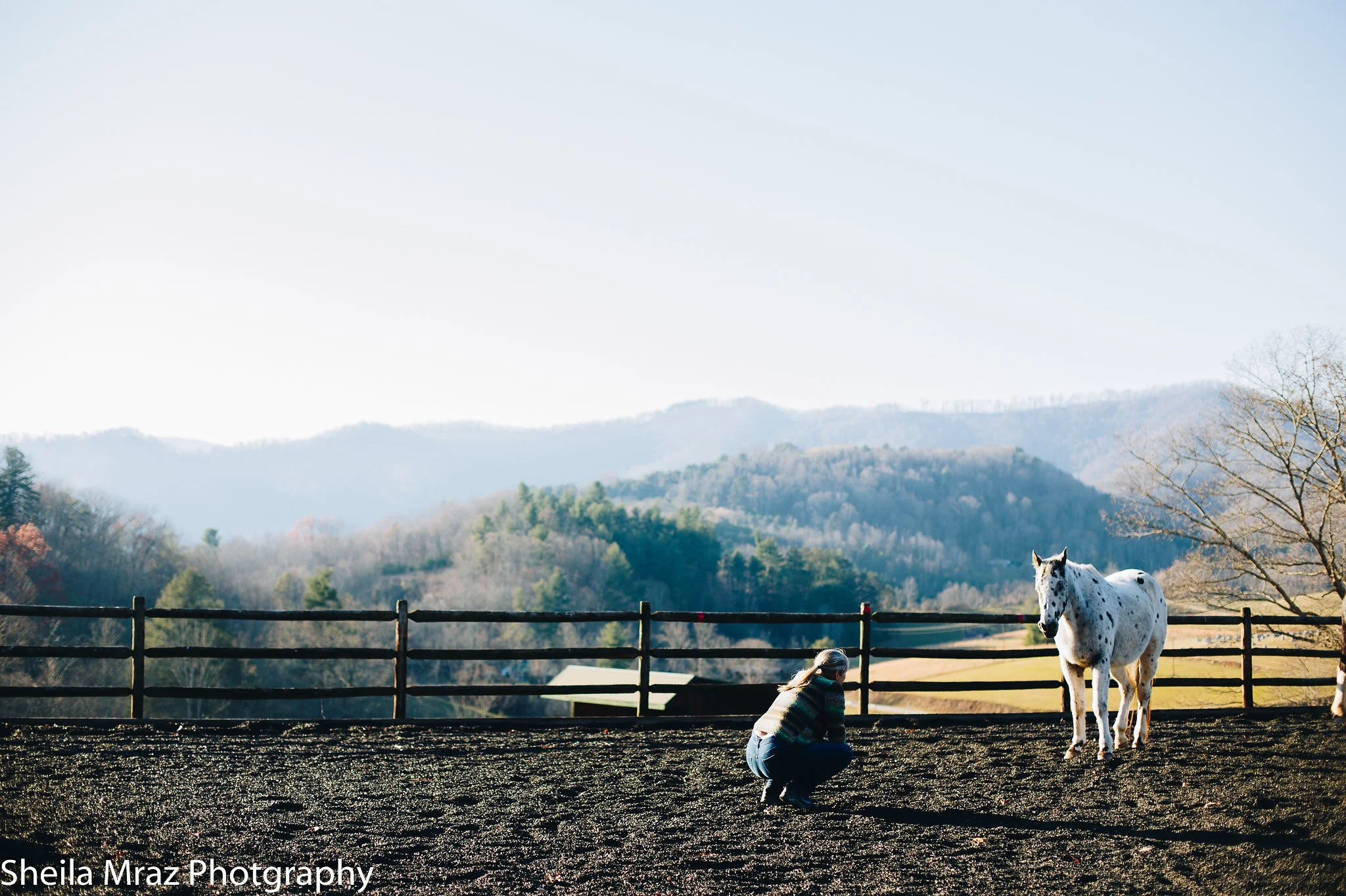 Copy of sheila_mraz-8199 (1).jpg