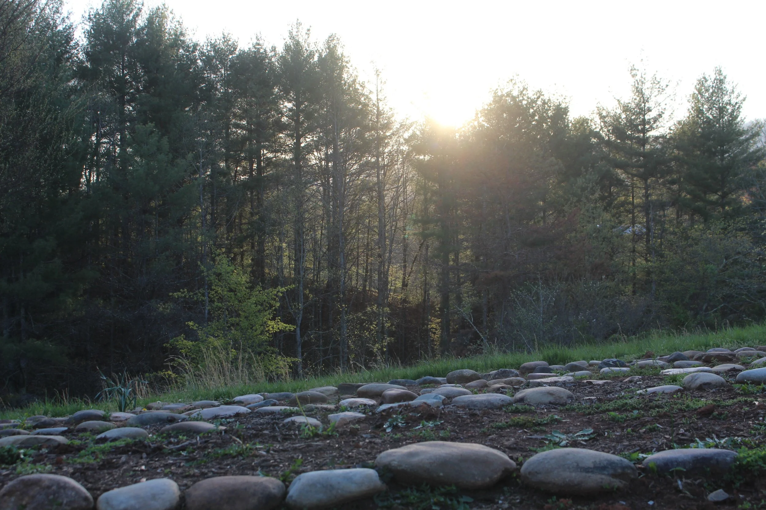 Copy of IMG_7761.JPG