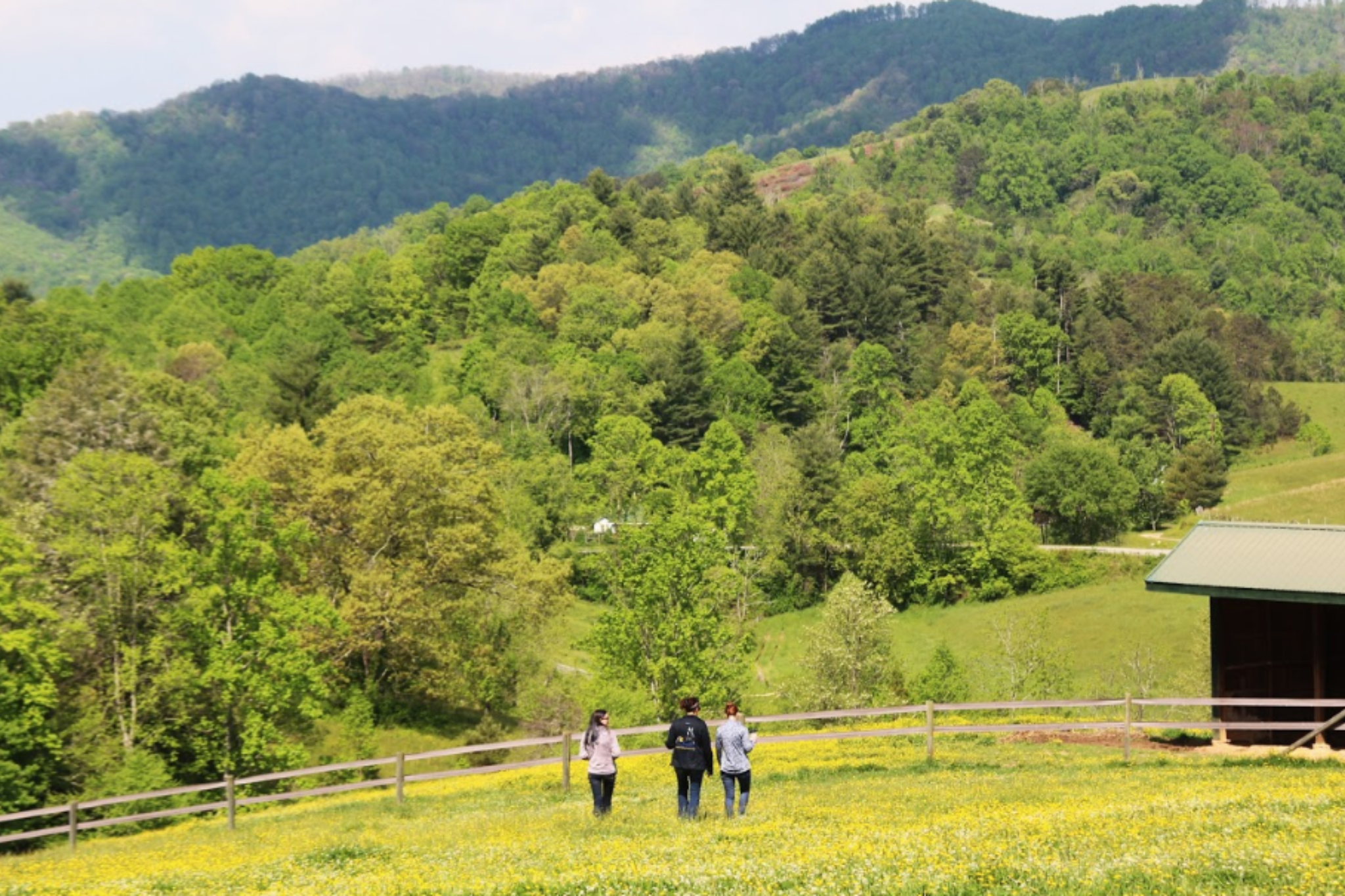 Natural Lifemanship® Intensive Practicum