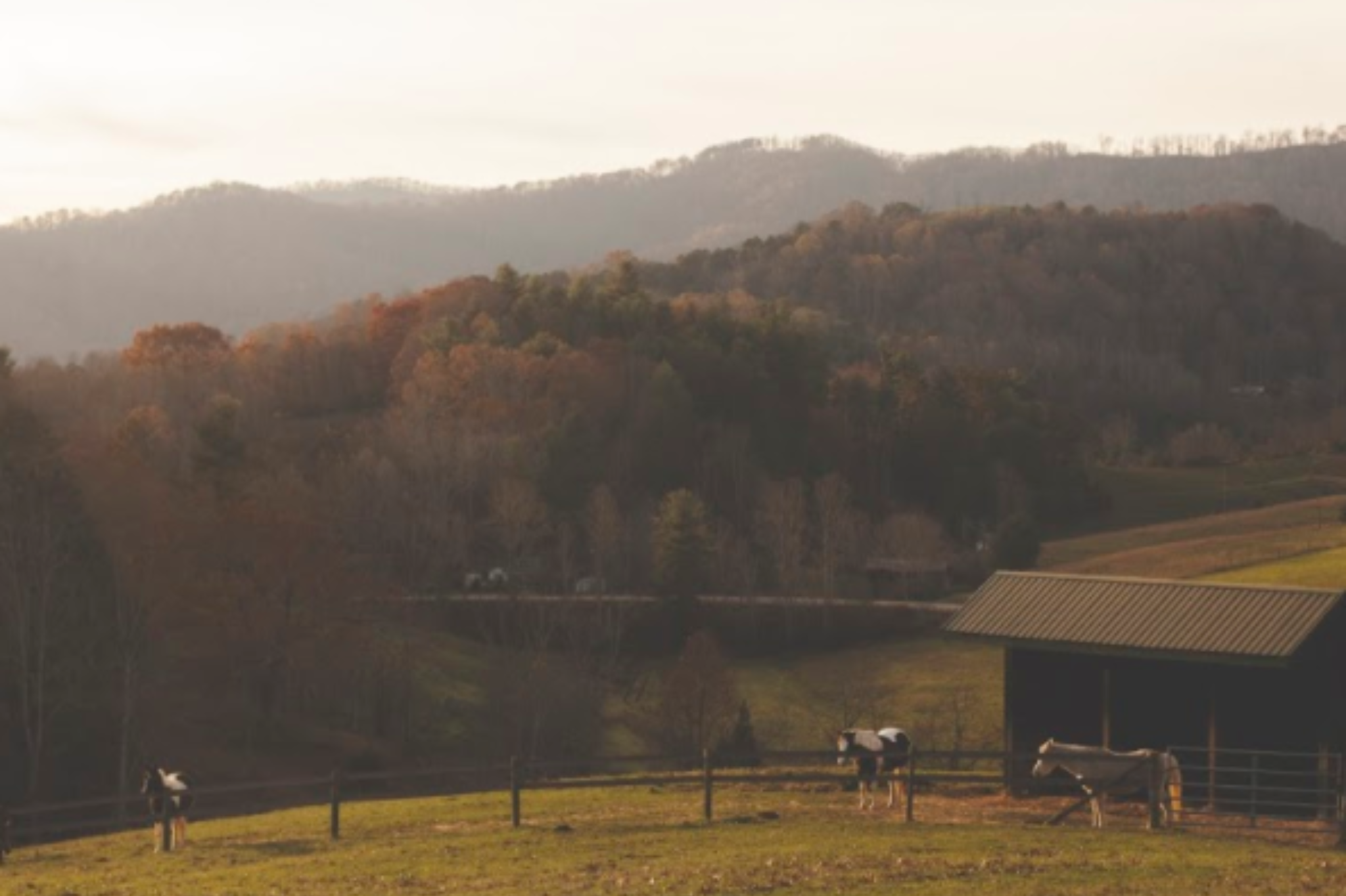 Natural Lifemanship® Intensive Practicum 