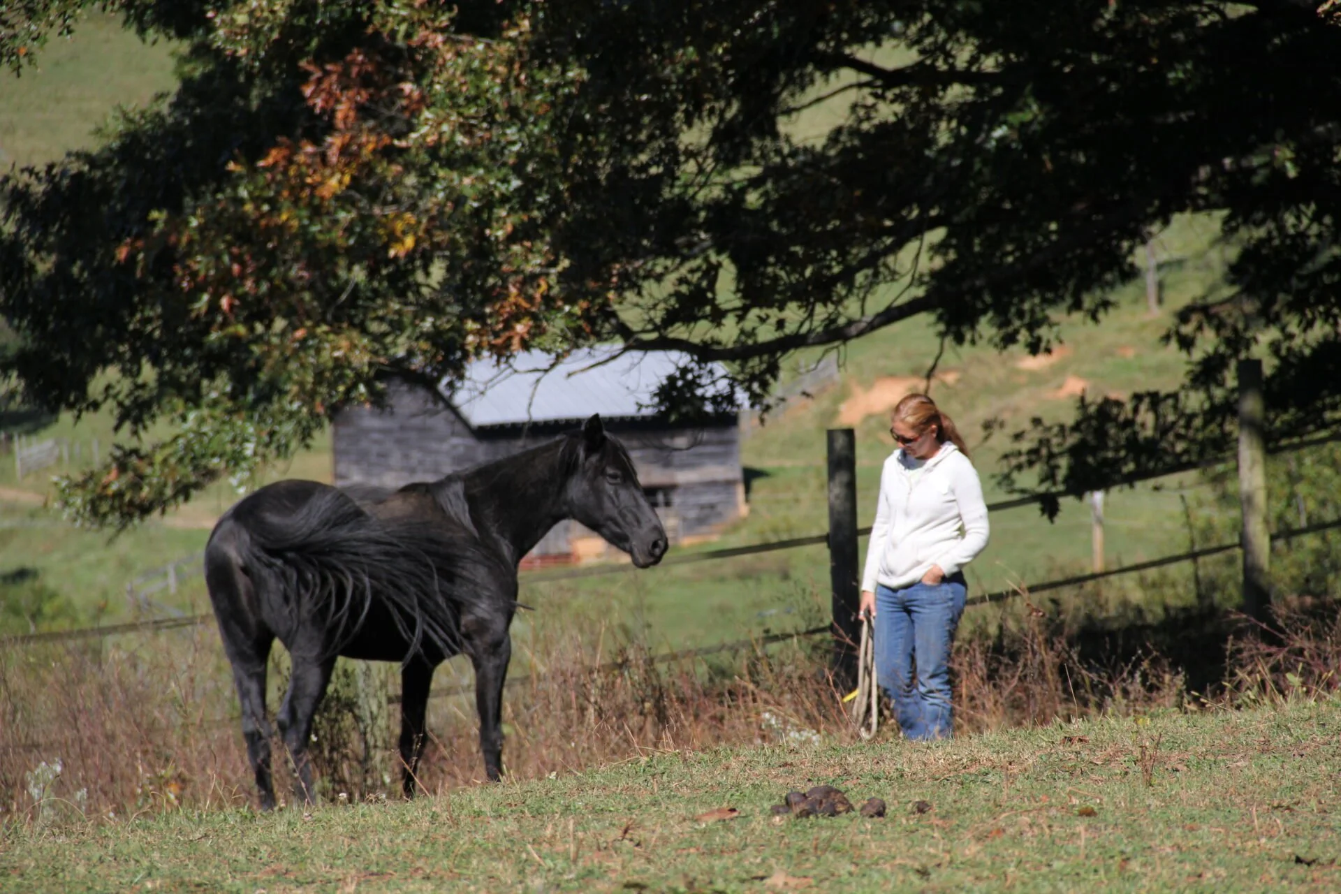 Natural Lifemanship® Fundamentals Practicum