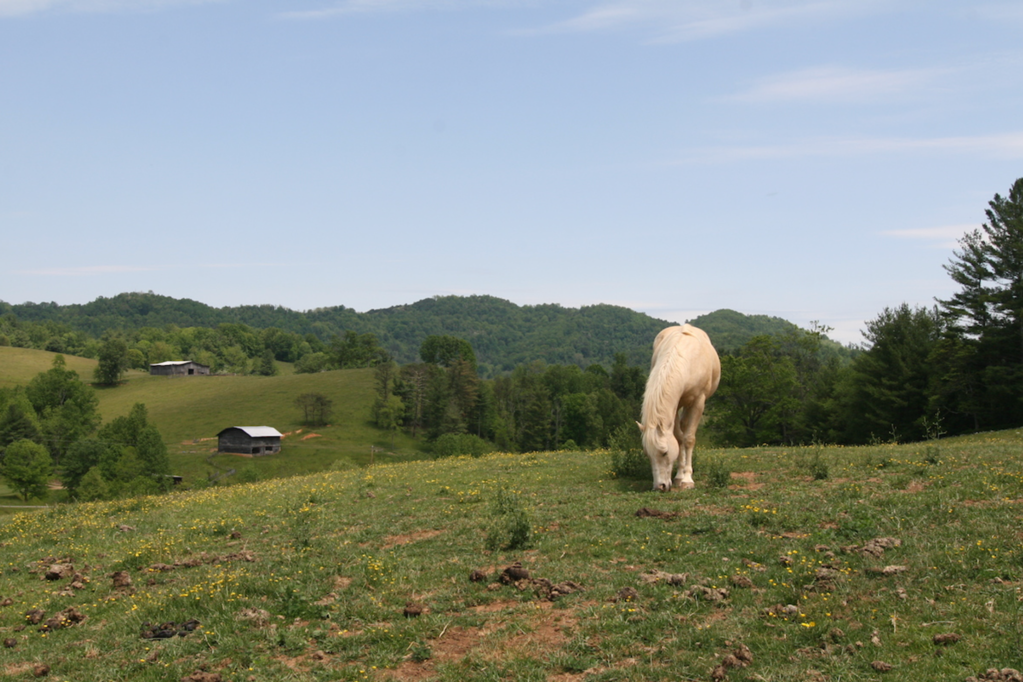 Natural Lifemanship® Fundamentals Practicum 