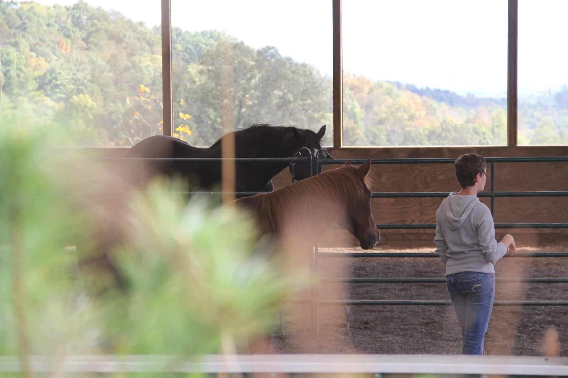 Natural Lifemanship® Fundamentals Practicum