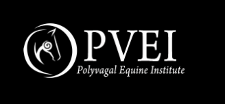 Polyvagal Principles - Mastery and Integration