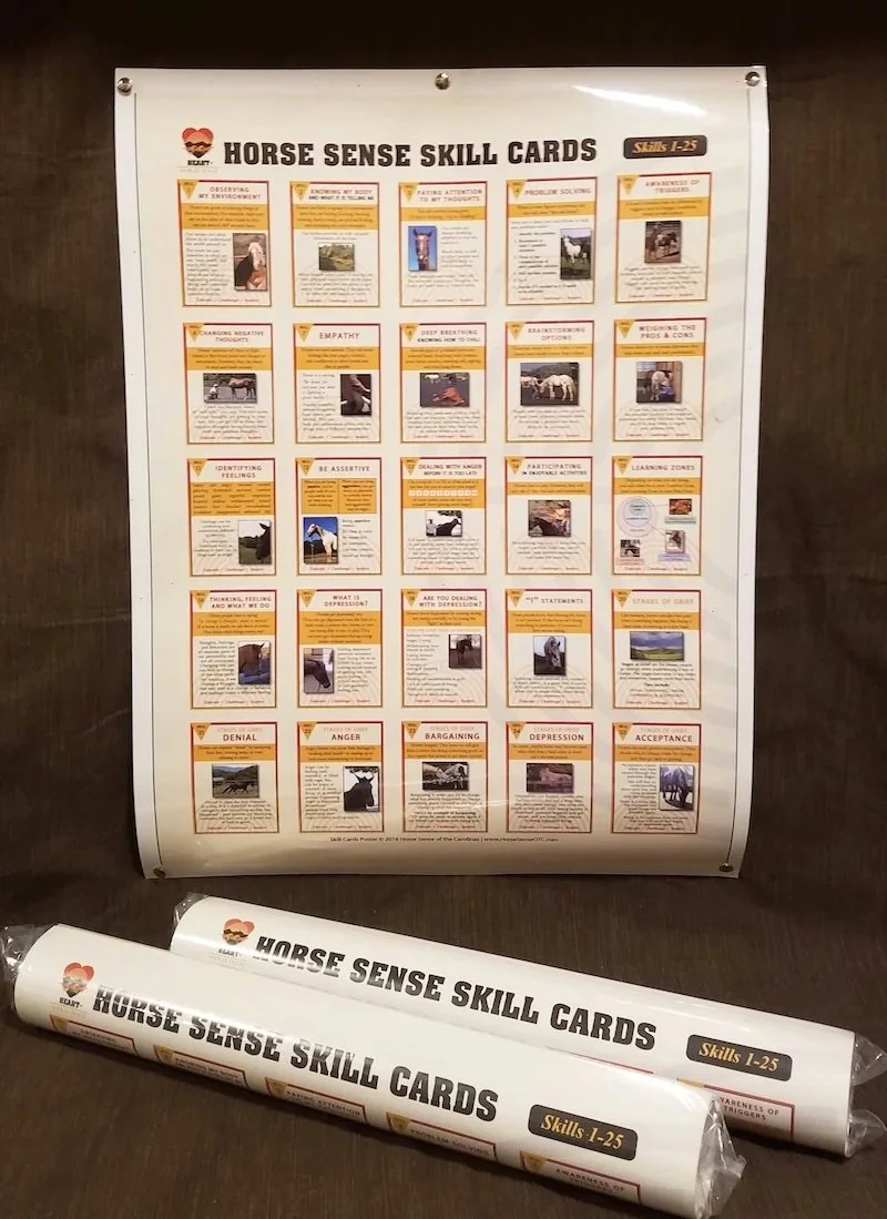 Skill Cards Poster