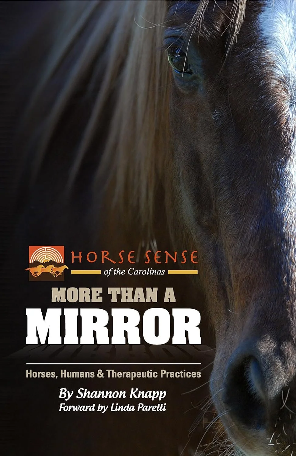More Than A Mirror: Horses, Humans, and Therapeutic Practice