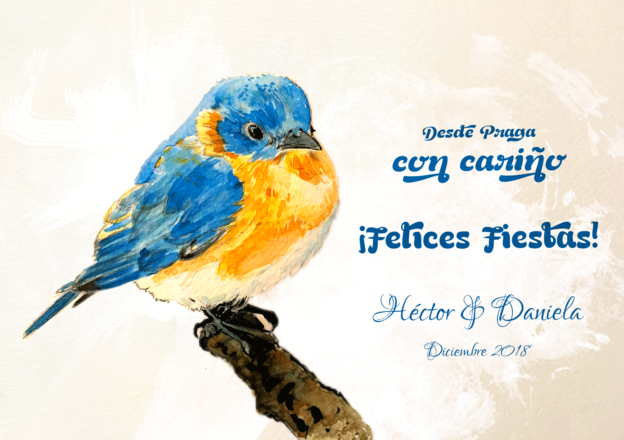  2018 Holiday Postcard 