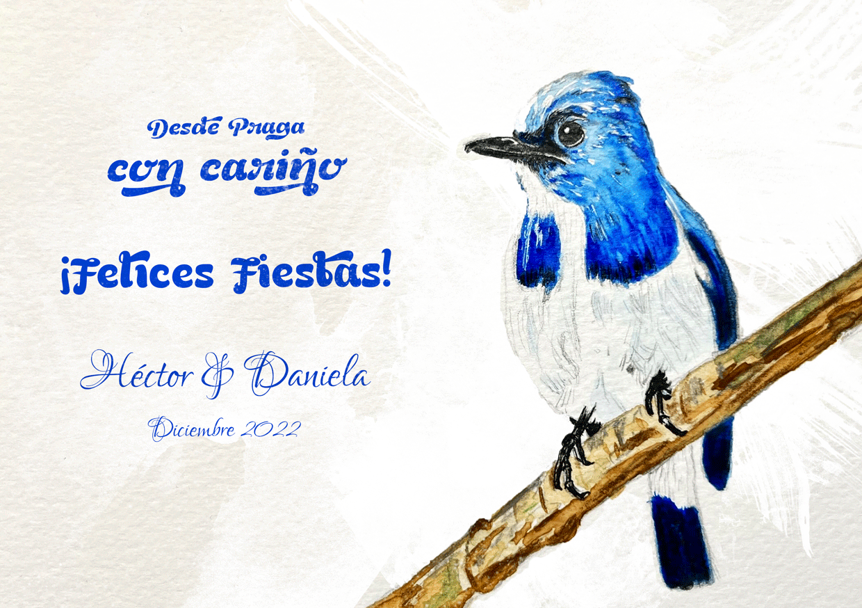  2022 Holiday Postcard 