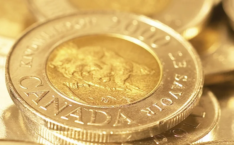 Memo to Bill Morneau: The rich already pay their fair share