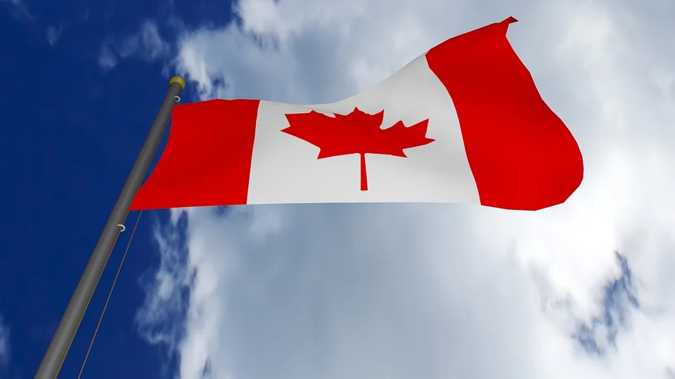 The red in our Maple Leaf is for chronic deficits