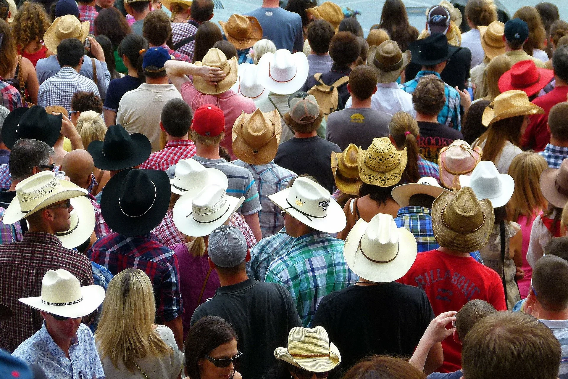 Skipping the plot: What the media missed about Alberta’s election