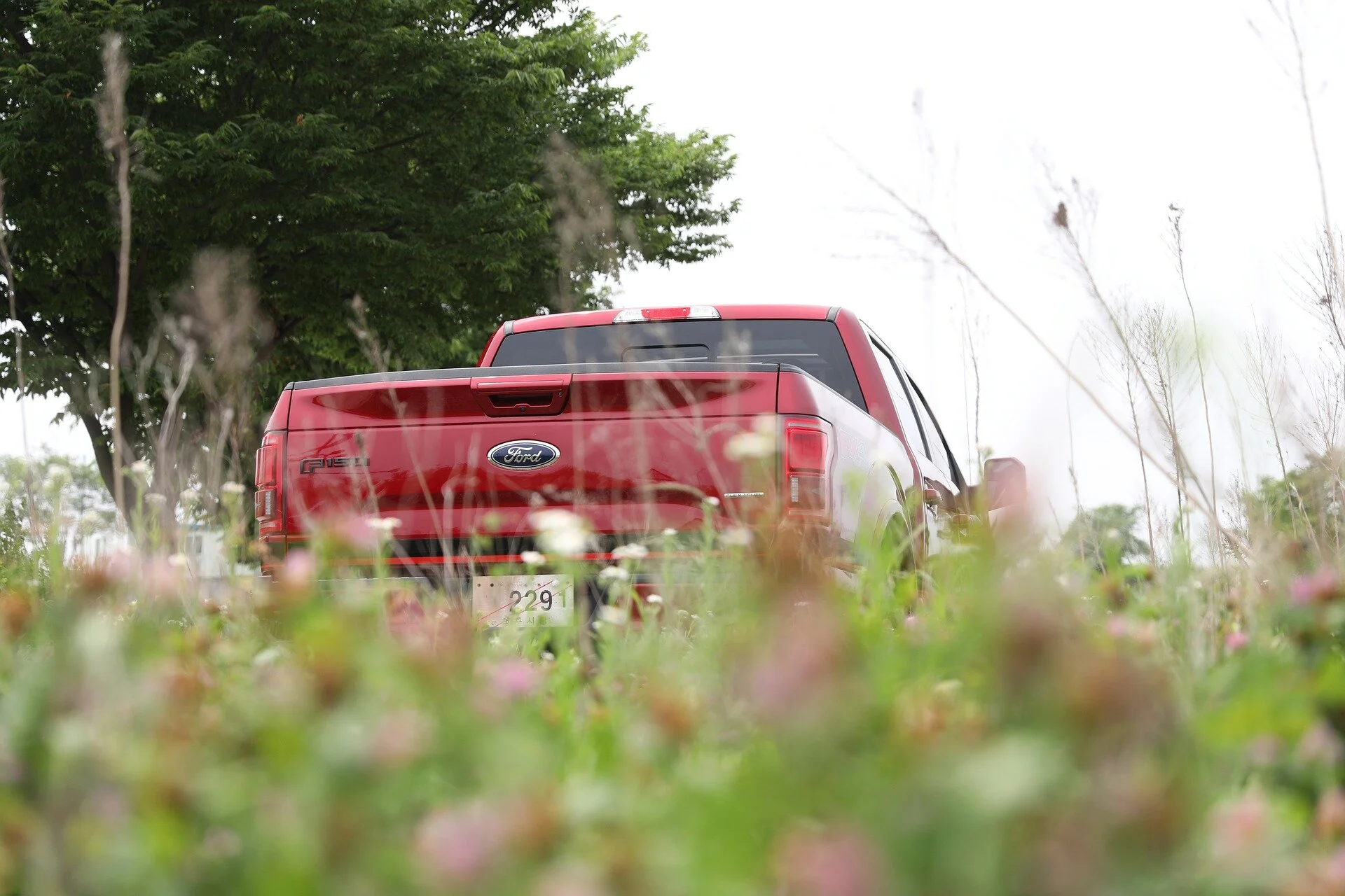 Drive a Ford F-150? You will pay over $1,150 in just carbon taxes in 2030