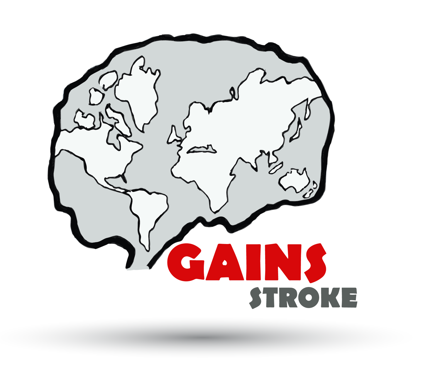 The International GAINS Network 