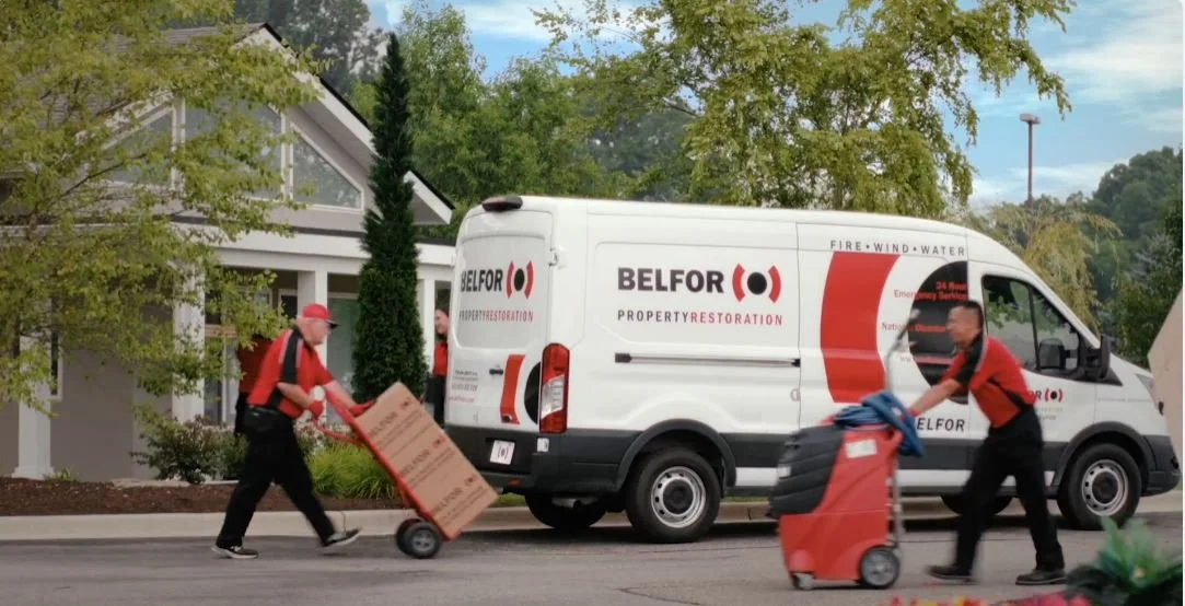 Belfor