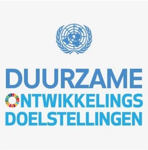 SDG NL vertaling overzicht bijgesneden.jpg
