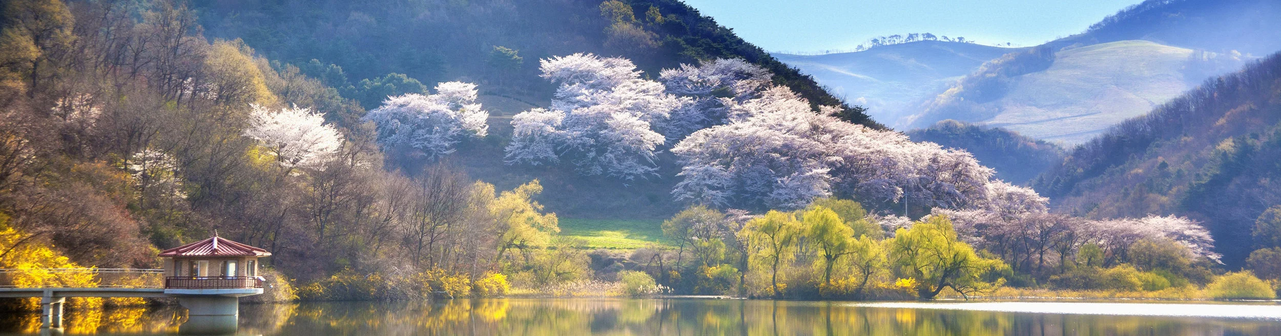 Master Taekwondo Plymouth Meeting Karate.jpeg