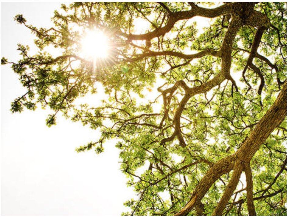  Enjoy the Sun AND Keep your Skin Looking Younger