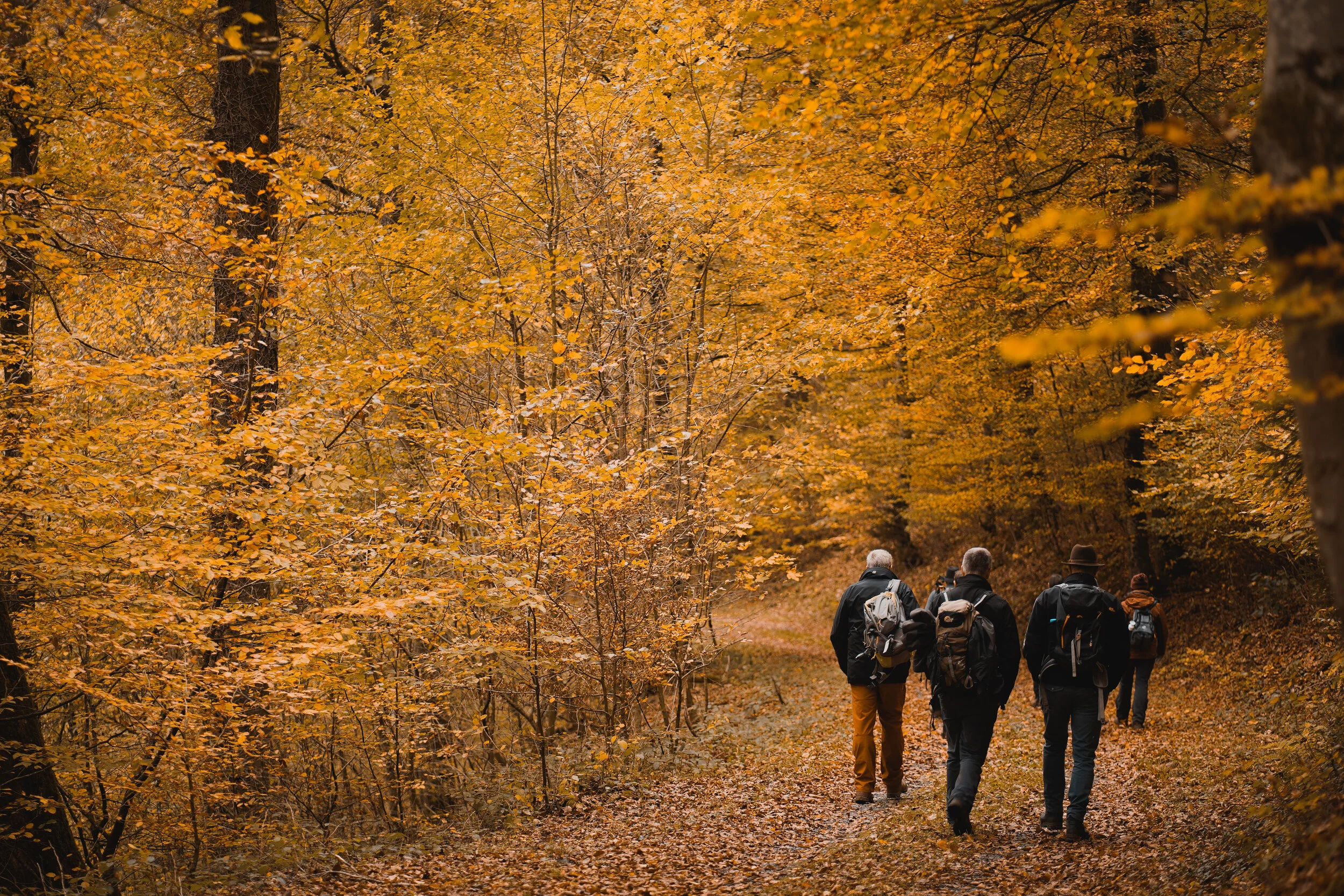 Ask the Doctor: Xanax Vs. Natural Alternatives