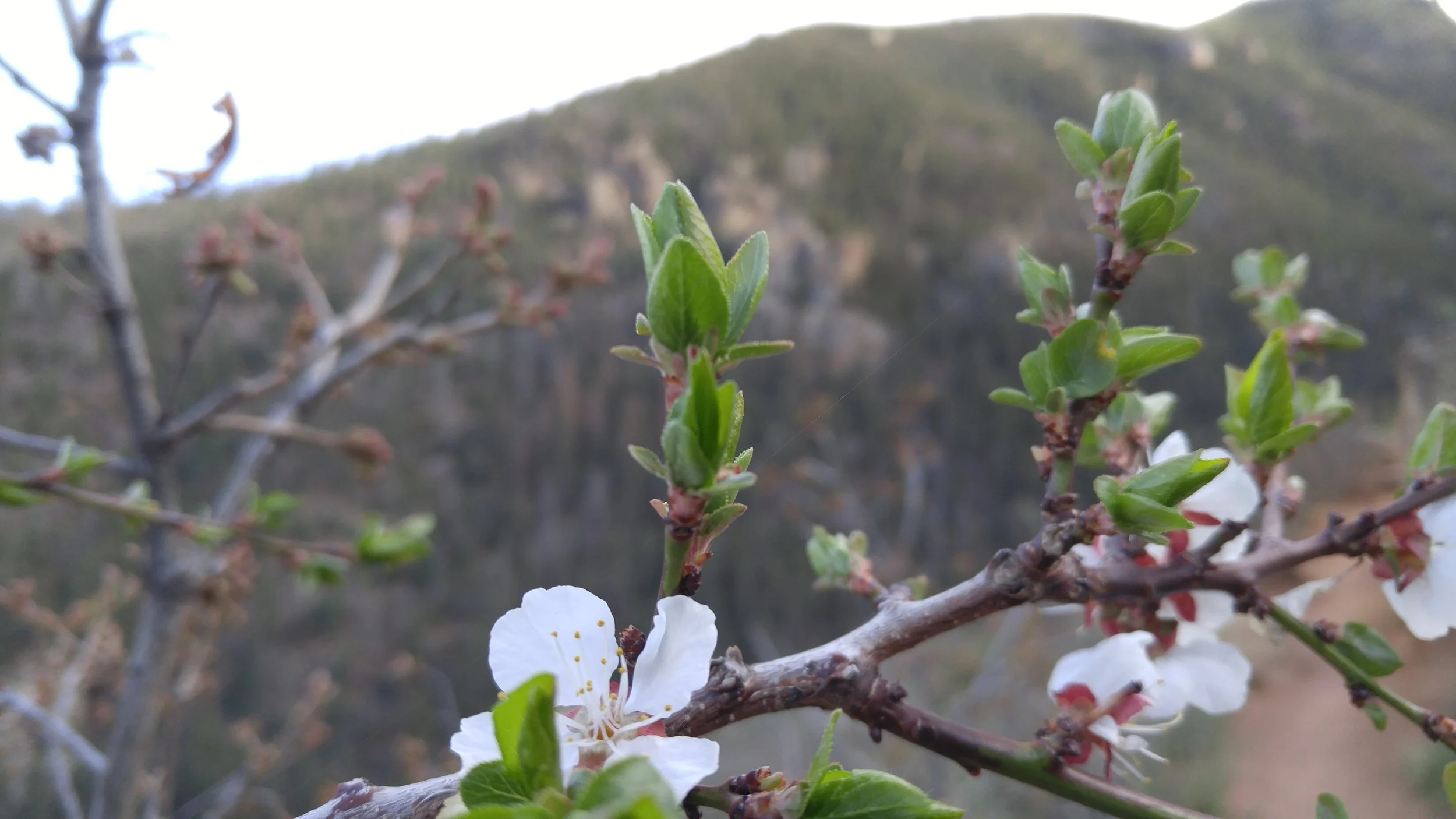 20160507_183225.jpg