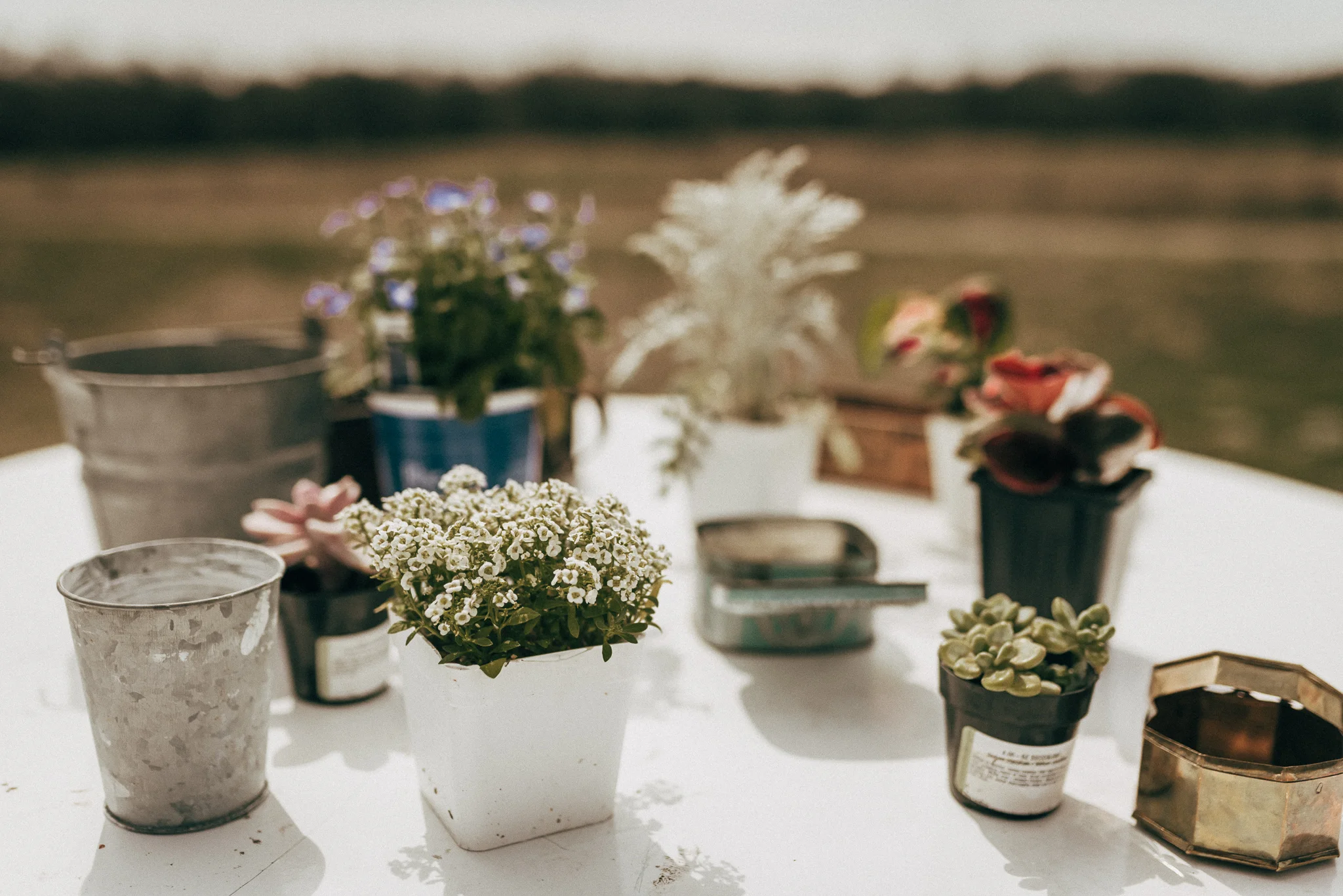 gatherandgrow-web-7558.jpg