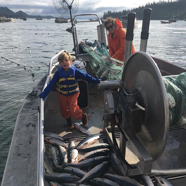 It&rsquo;s that time again. We&rsquo;re selling our hand selected, sustainably caught Sockeye Salmon in Truckee/Tahoe this year! Have a few boxes left. eataksalmon.com 
#knowyourfisherman #wildalaskansalmon #eatwildfood