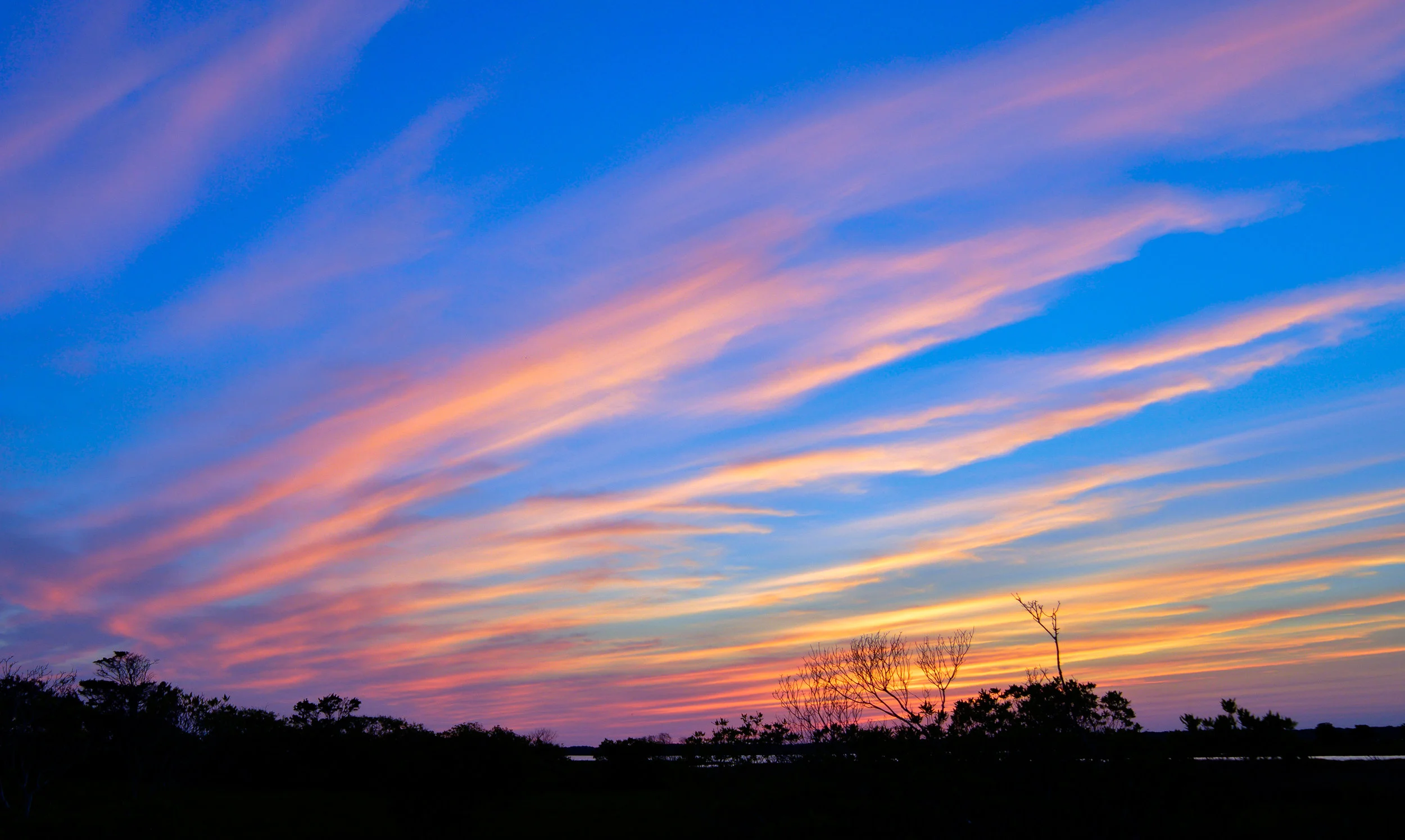 Assateague National Seashore