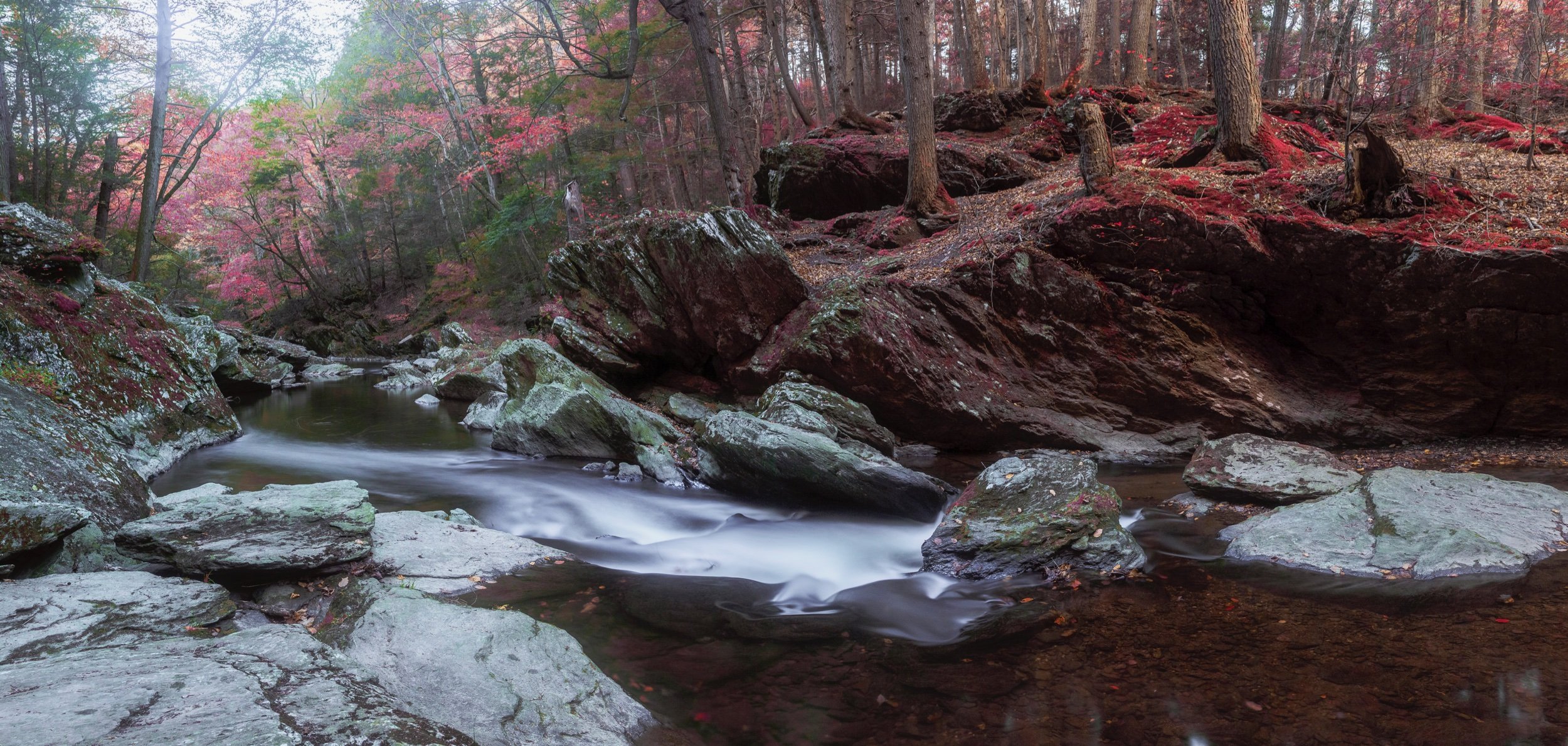 HEMLOCK_GORGE_2021_1018_161712-_MD-2.jpeg