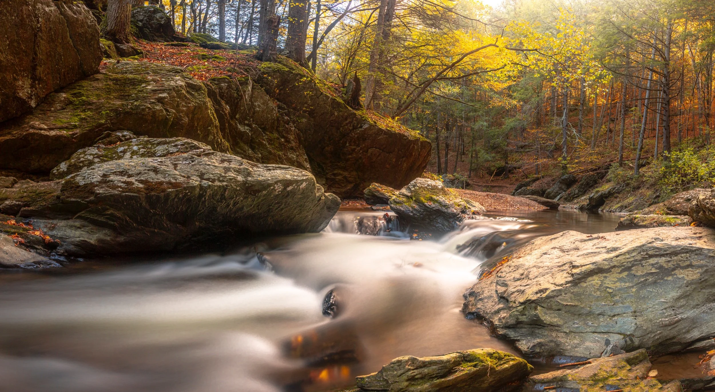 HEMLOCK_GORGE_2021_1018_161201-_MD.jpeg