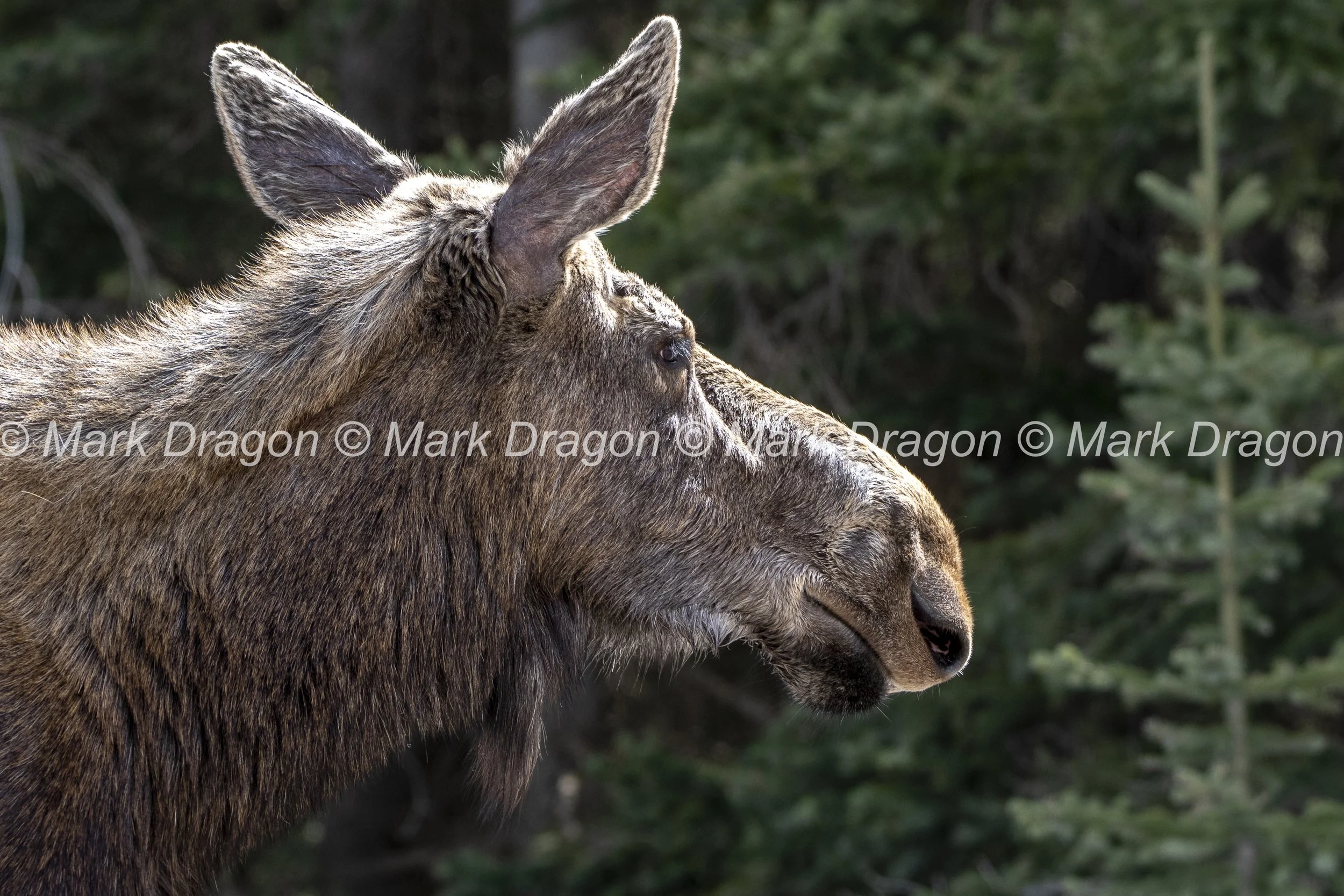 BANFF_EX3_2022_0524_154818-0216_MWD.JPG