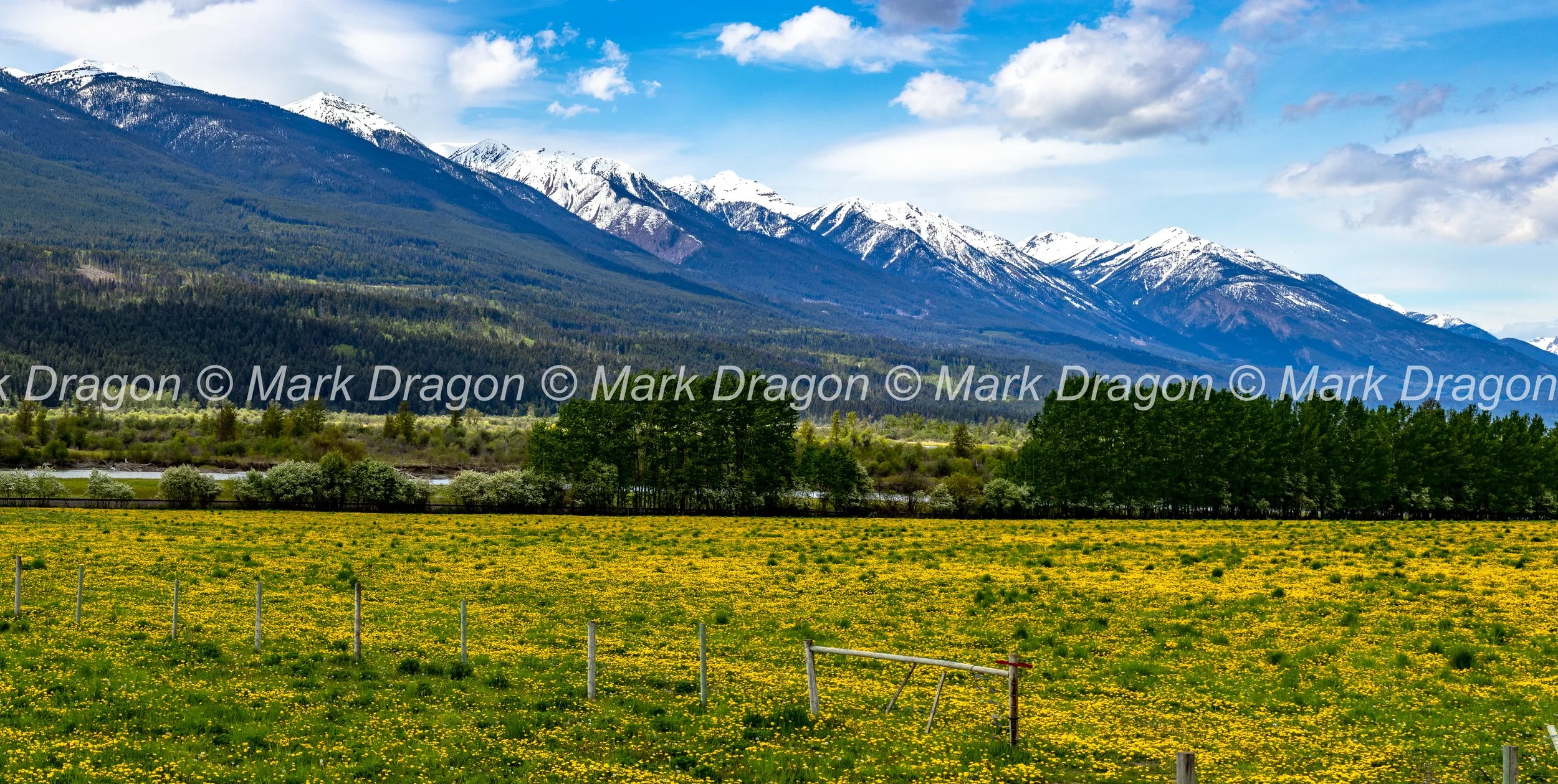 BANFF_EX3_2022_0526_125334-_MWD.JPG